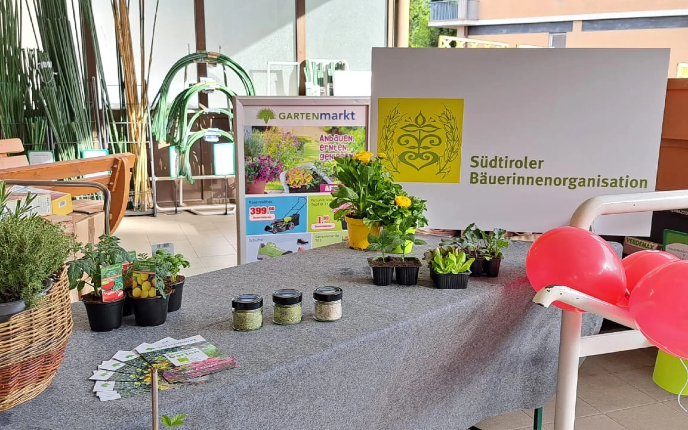 Frhlingsfest Gartenmarkt 2024 SBO 7.jpeg